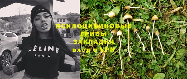 СК Володарск