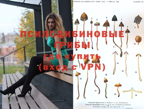 таблы Волоколамск