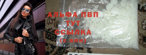СК Володарск