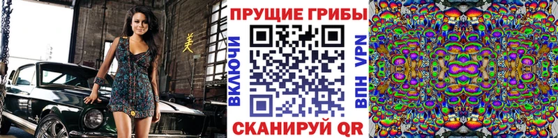Галлюциногенные грибы прущие грибы  Кандалакша 